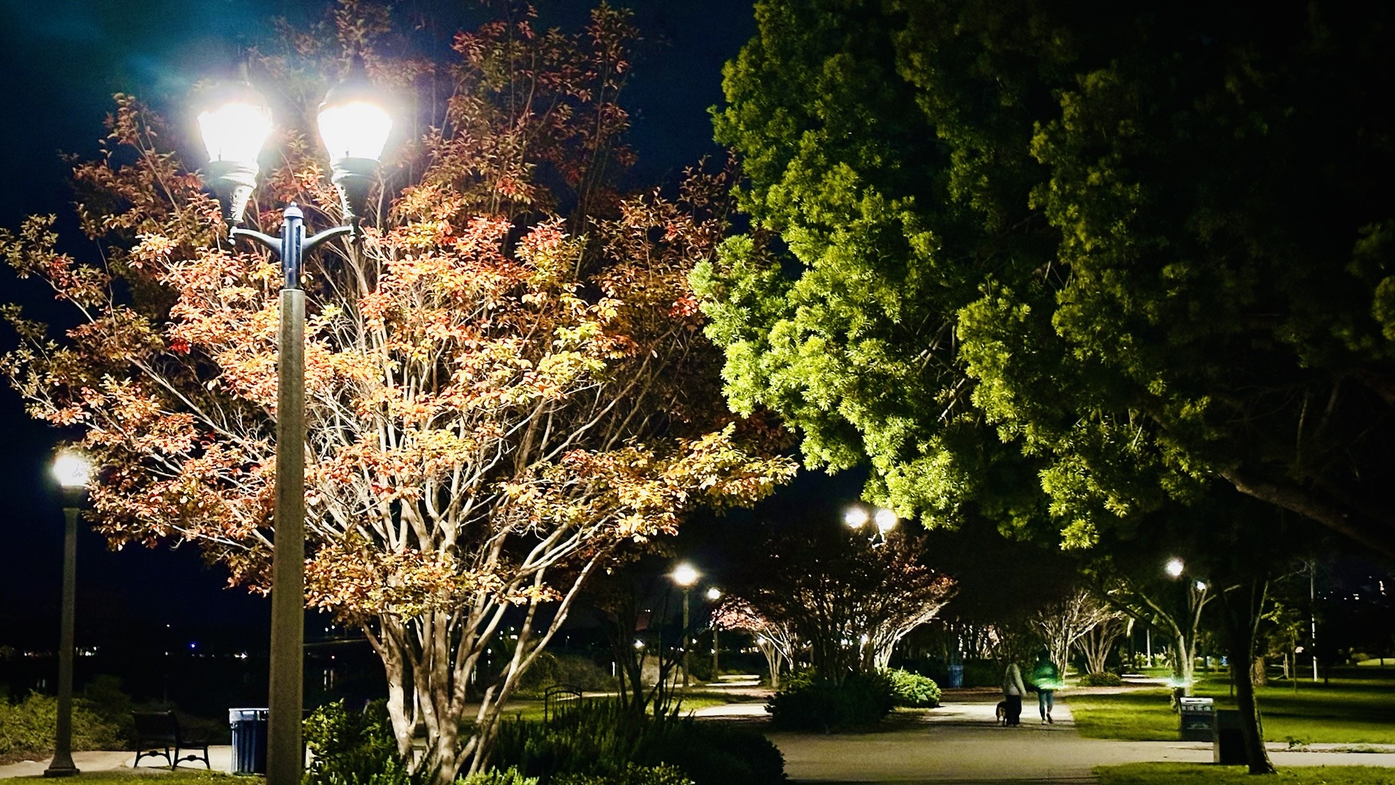Liberty Station Lights